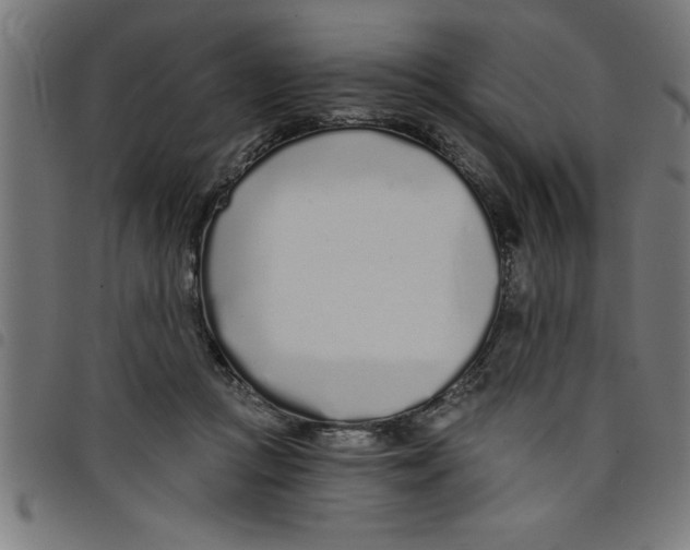 X0000098050361200804251109