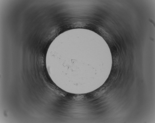 X0000098050362200804251109