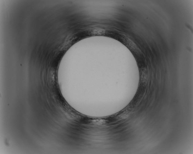 X0000098050363200804251109