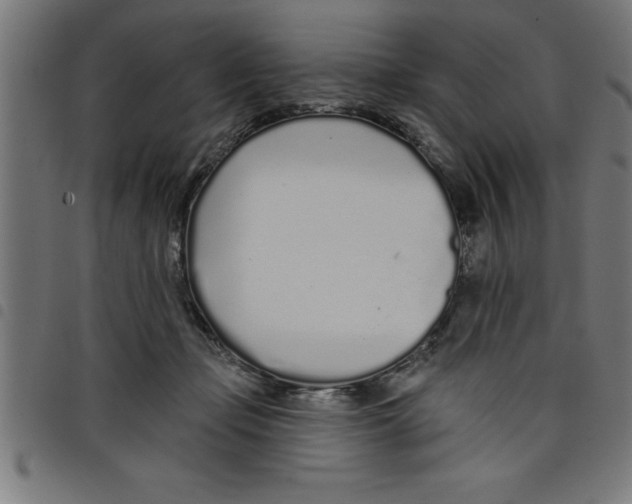 X0000098050365200804251109