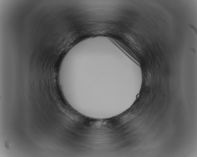 X0000098050366200804251110