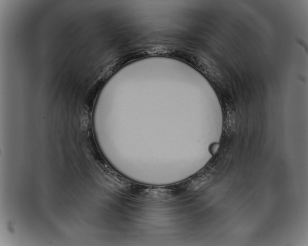 X0000098050367200804251110