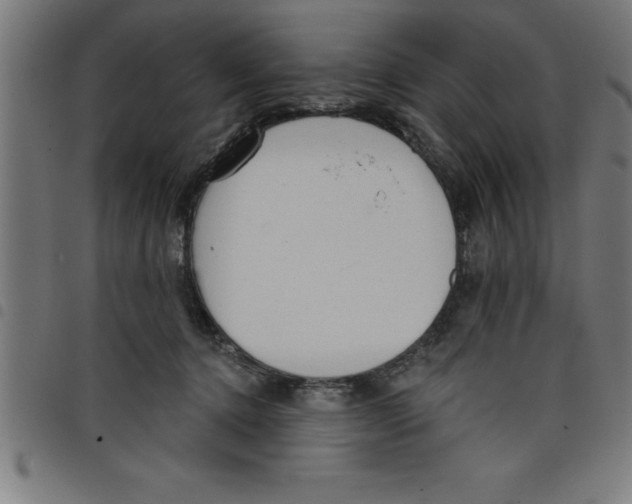 X0000098050368200804251110