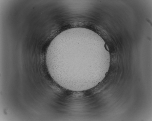 X0000098050369200804251110