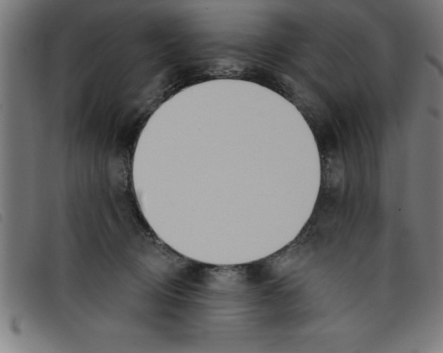 X0000098050370200804251110