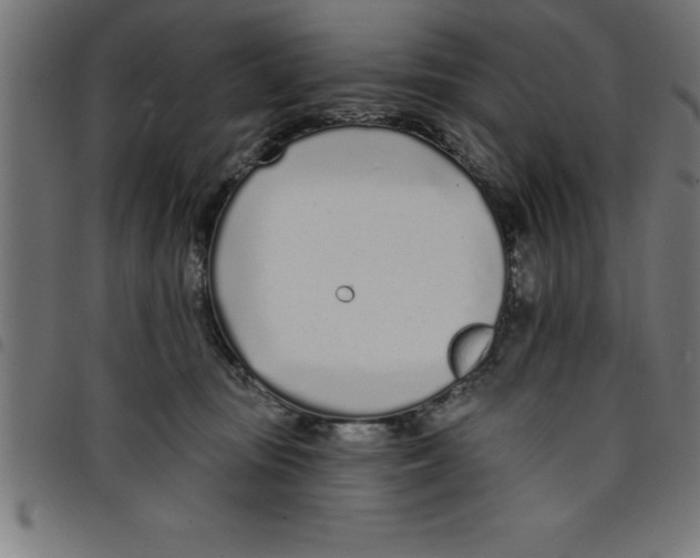 X0000098050371200804251110