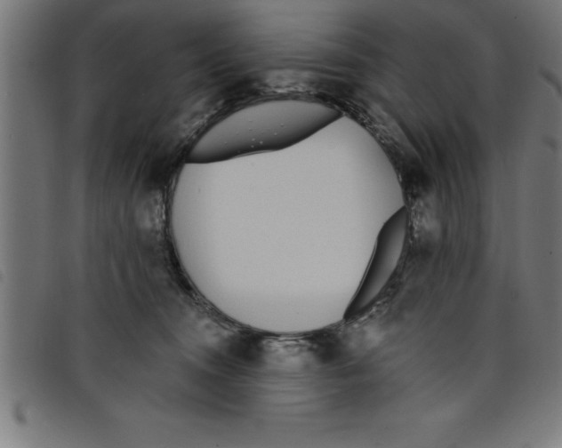 X0000098050372200804251110