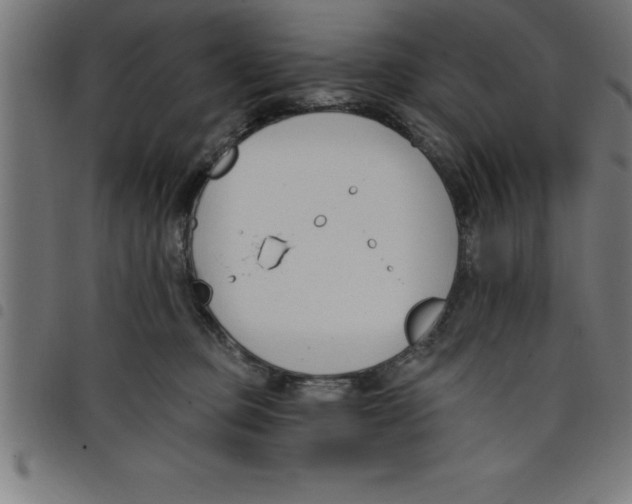 X0000098050373200804251110