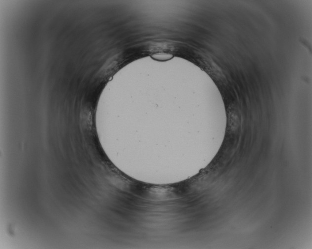 X0000098050375200804251110