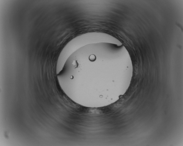 X0000098050376200804251110