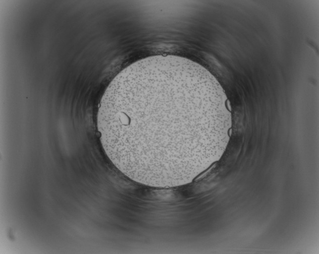 X0000098050377200804251110