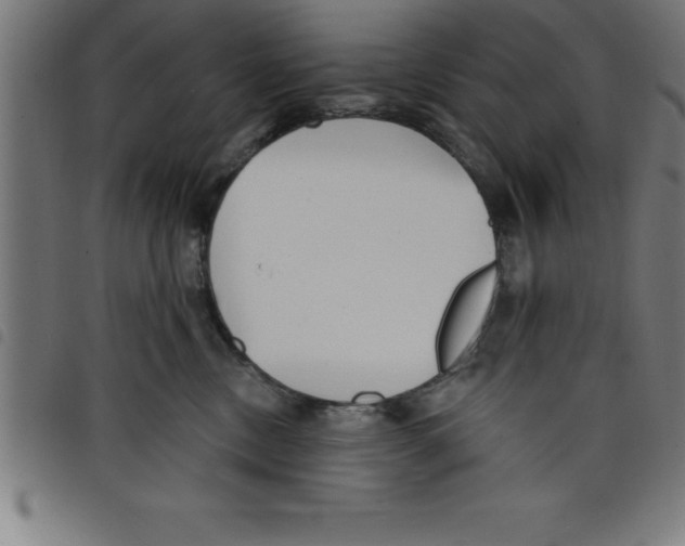 X0000098050378200804251110