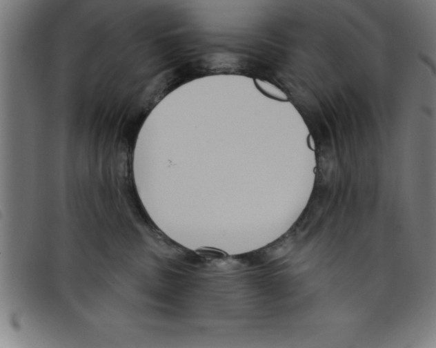 X0000098050379200804251110