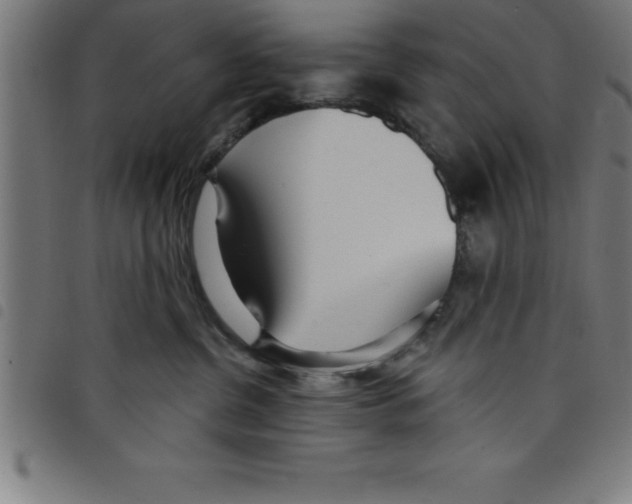 X0000098050380200804251110