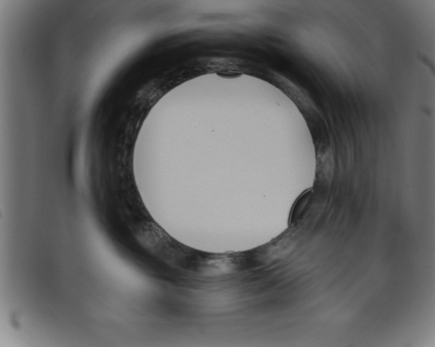 X0000098050381200804251110