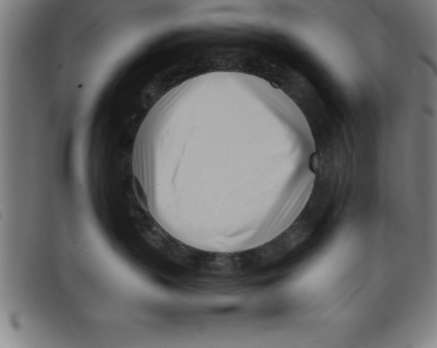 X0000098050383200804251110