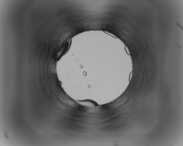 X0000098050384200804251110