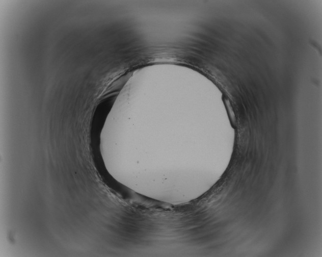 X0000098050385200804251109