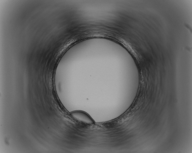 X0000098050386200804251109