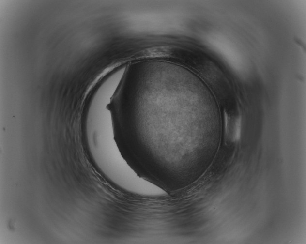 X0000098050387200804251109