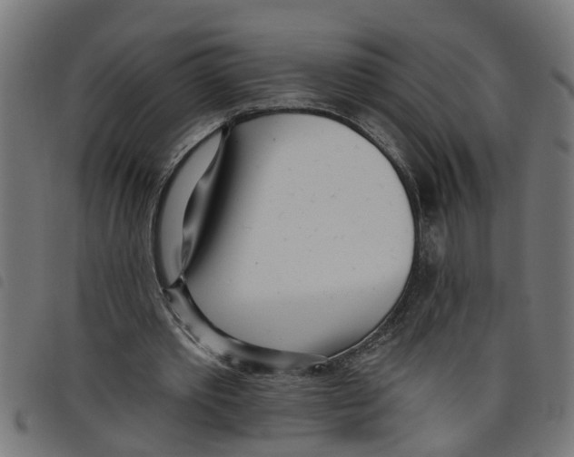 X0000098050389200804251109