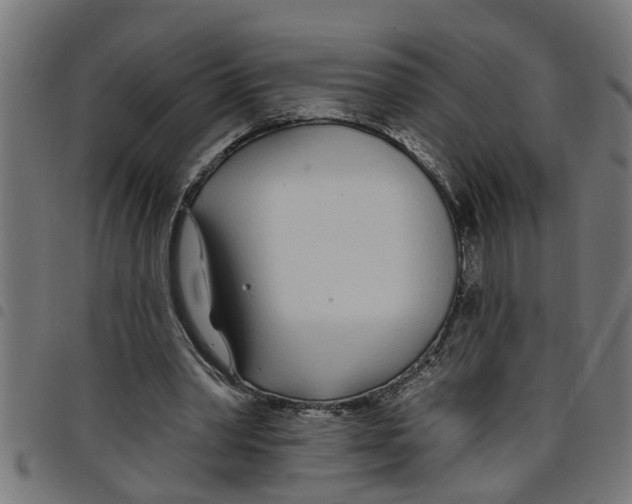 X0000098050390200804251109