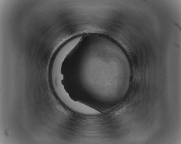 X0000098050391200804251109