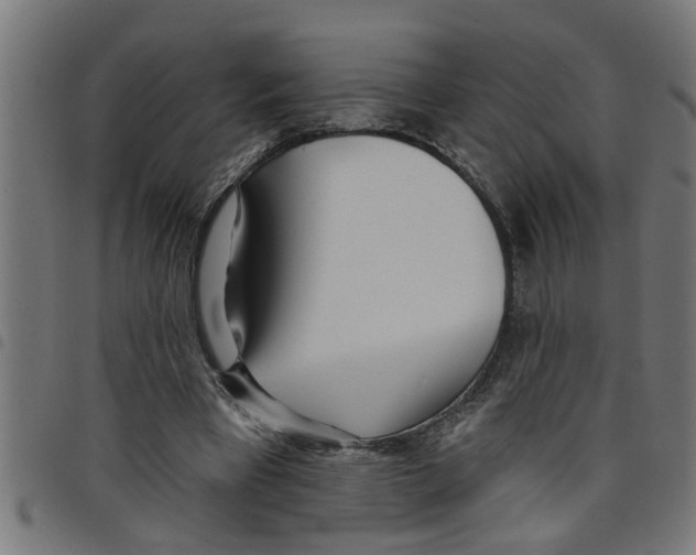 X0000098050393200804251109