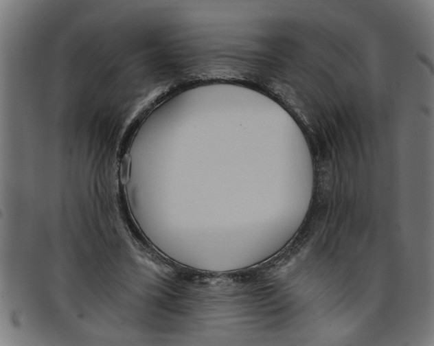 X0000098050395200804251109