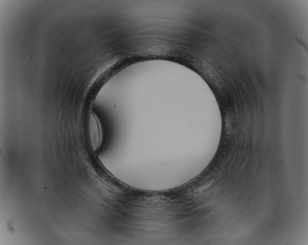 X0000098050396200804251109