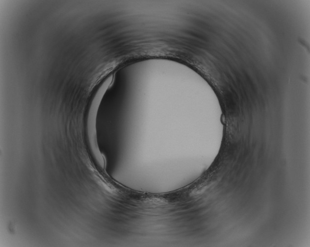 X0000098050397200804251109