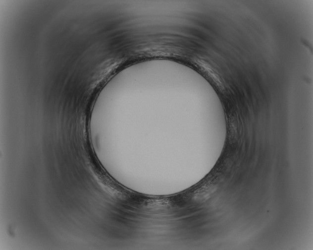 X0000098050398200804251109