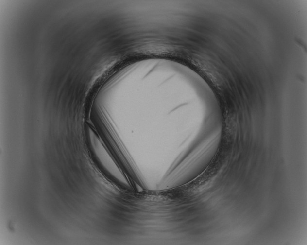 X0000098050399200804251109