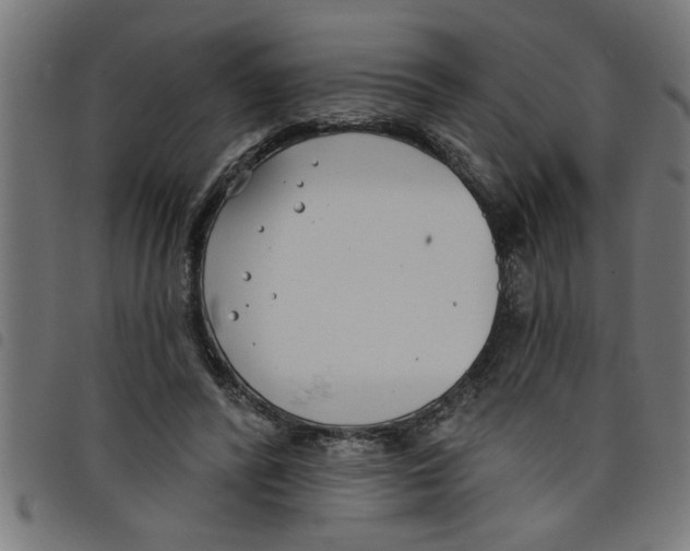 X0000098050400200804251109