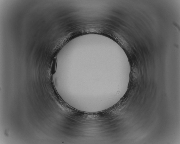 X0000098050401200804251109