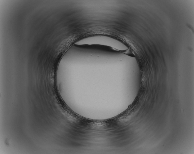 X0000098050402200804251109