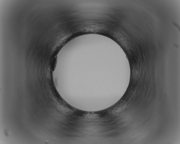 X0000098050403200804251109