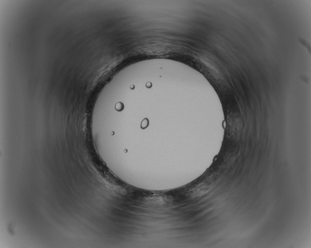 X0000098050404200804251109