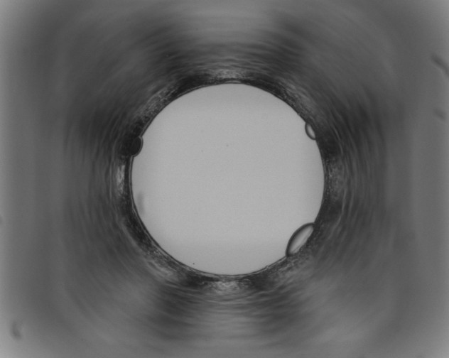 X0000098050406200804251108