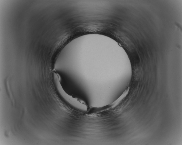 X0000098050407200804251108