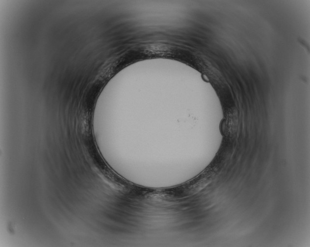 X0000098050408200804251108