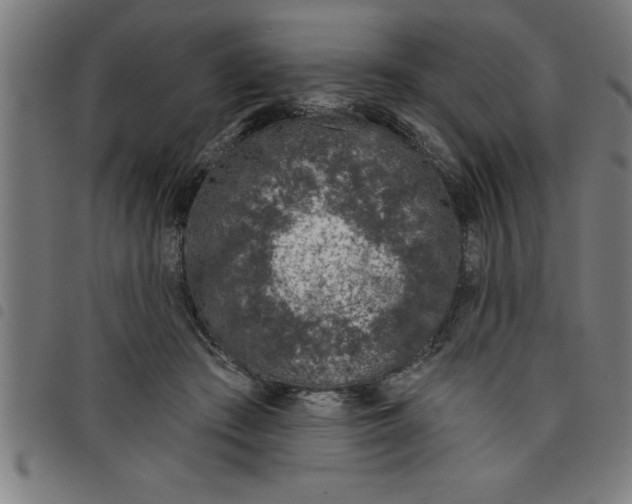 X0000098050409200804251108