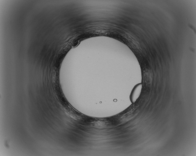 X0000098050412200804251108