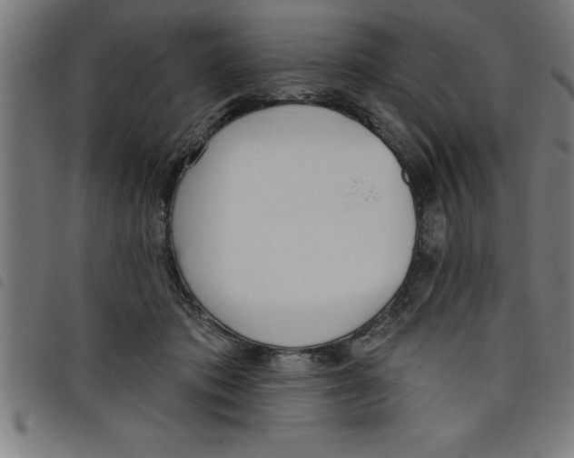 X0000098050413200804251108