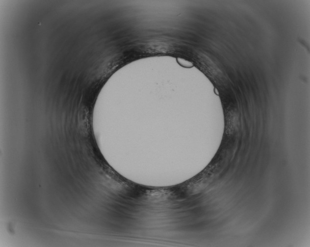 X0000098050414200804251108