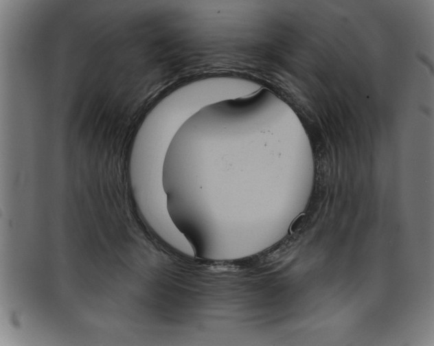 X0000098050415200804251108