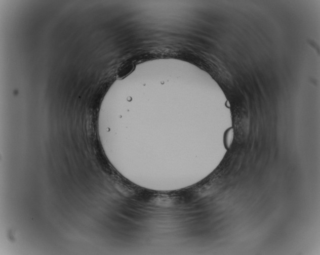 X0000098050416200804251108