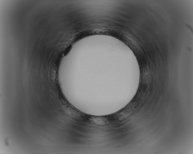 X0000098050417200804251108