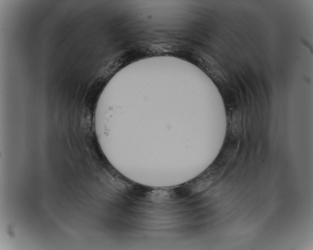 X0000098050418200804251108