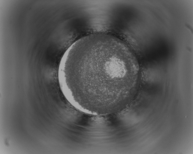 X0000098050419200804251108